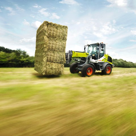 TORION 738 T SINUS